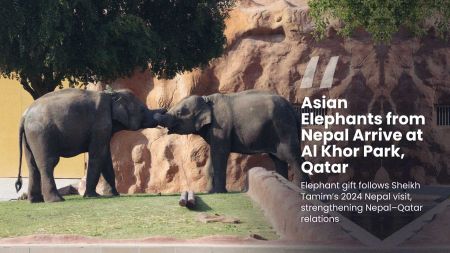 Nepal Gifts Two Asian Elephants to Qatar to Deepen Bilateral Ties